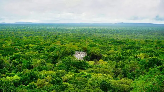  Pirâmide Maia 1aposta em futebol onlineCalakmul no meio da selva