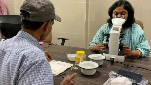దోమలపై రీసెర్చ్