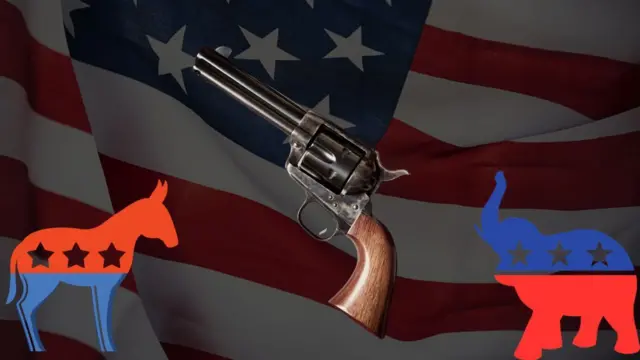 અમેરિકા, ગન કલ્ચર, યુનાઇટેડ સ્ટેટ્સ, અમેરિકા ચૂંટણી 2024, અમેરિકામાં ભારતીયો, બીબીસી ગુજરાતી