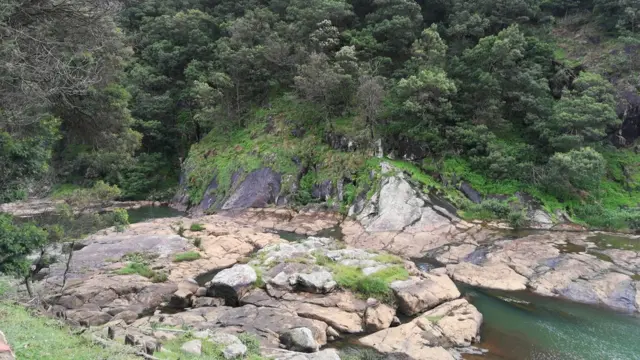 నీలగిరి కొండల అందాలు