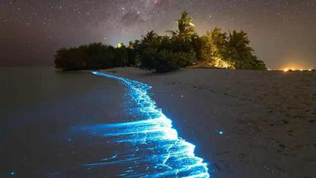 மாலத்தீவின் ‘சீ ஆஃப் ஸ்டார்ஸ்’.