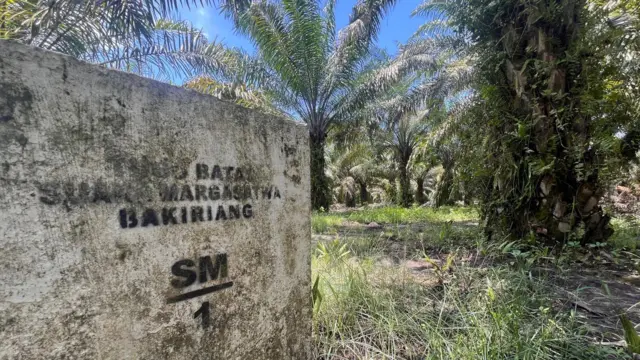 Tapal batas SM Bakiriang yang dikeliling perkebunan sawit.