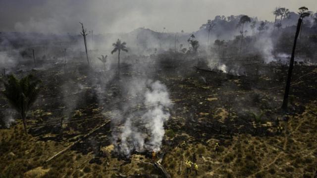巴西的科學家發現，焚燒作物時煙霧遮蔽陽光，流感病例增加