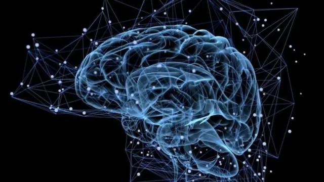 ફાઇલ તસવીર