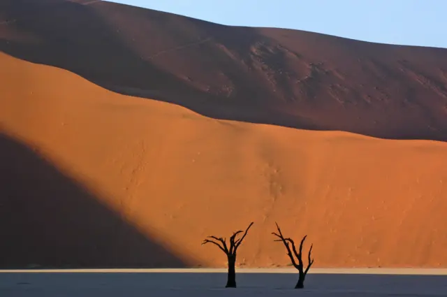 ریت کے ٹیلے