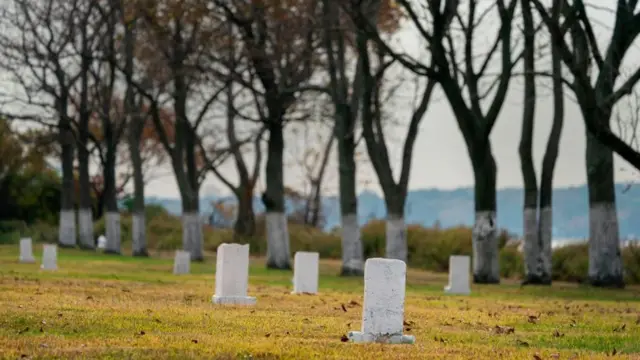 کورونا، ایڈز، ہارٹ آئی لینڈ، نیویارک، امریکہ