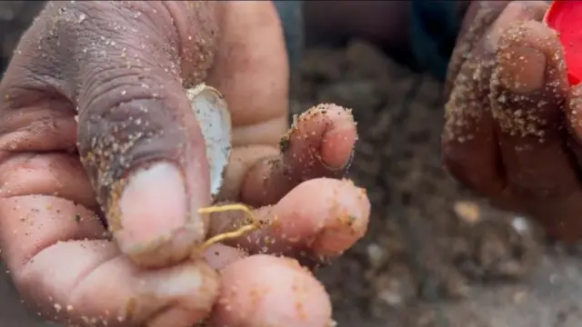 આંધ્ર પ્રદેશ વાવાઝોડું સોનું બીબીસી ગુજરાતી