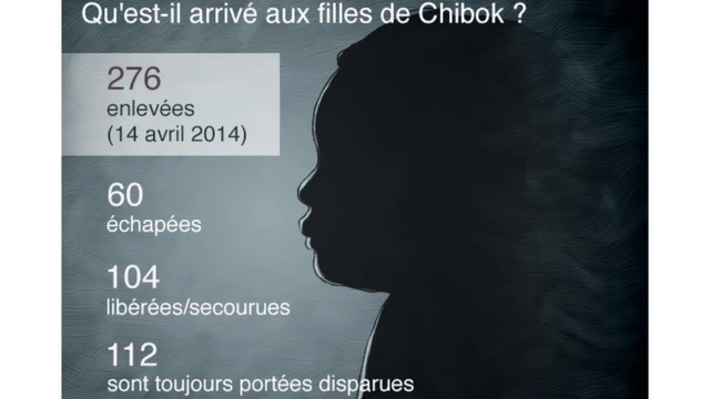 Le bilan actuel de la campagne "Bring Back our girls"