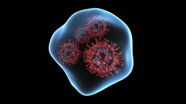 கொரோனா வைரஸ்