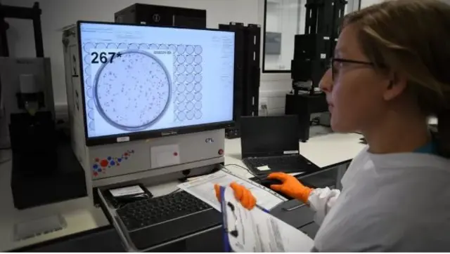 Mulher trabalhandoviver de apostas onlinefrente ao computador