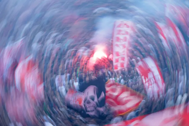 zvezda, navijači zvezde