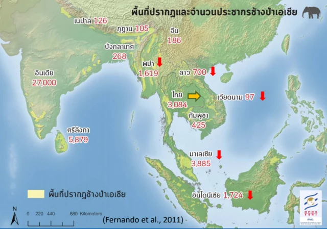 พื้นที่ปรากฏตัวและจำนวนประชากรช้างในเอเชีย