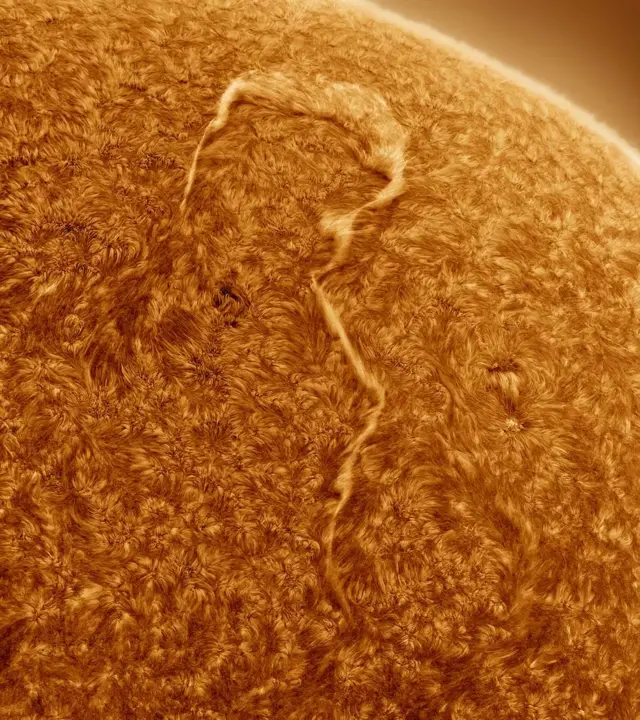 A photograph of the Sun with a huge filament in the shape of a question mark
