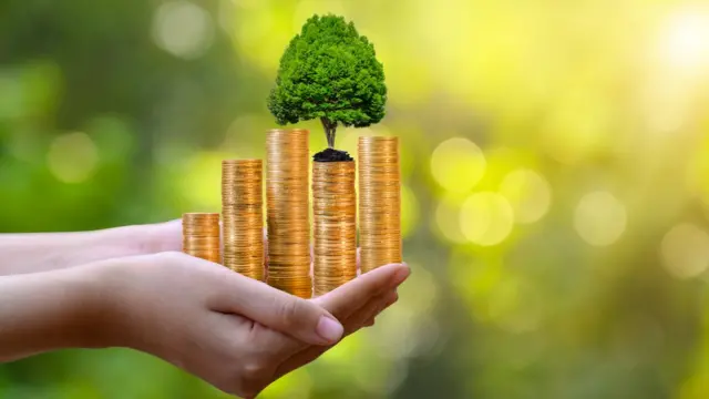 Se espera que con el cambio generacional se produzca un auge de las inversiones social y ambientalmente responsables.