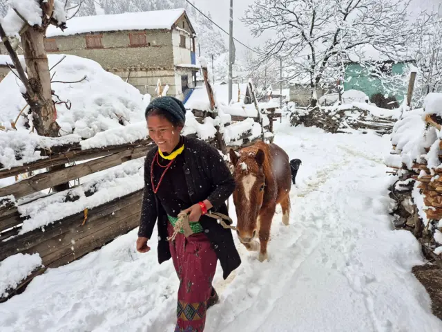 डोल्पामा भएको हिमपातबीच घोडा डोर्‍याउँदै हिँडिरहेकी एक महिला
