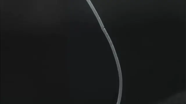 ۲۰۲۲ کال