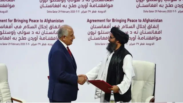 तालिबान