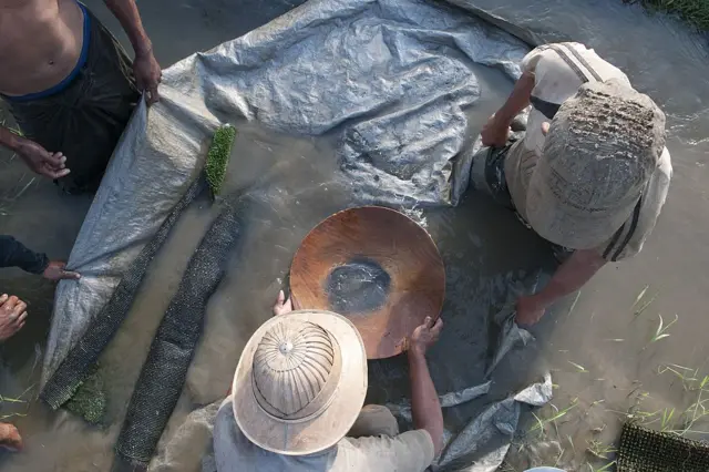 ကချင်ပြည်နယ်အတွင်း ရွှေတူးဖော်မှုမြင်ကွင်း