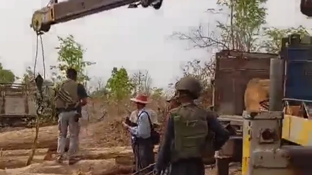 အလောင်းတော်ကဿပ အမျိုးသားဥယျာဉ်ထဲမှာ သစ်ထုတ်လုပ်နေတဲ့ NUG လက်အောက်ခံ တပ်ရင်းတခု