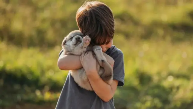 ક્યુટ એગ્રેસન, બીબીસી, ગુજરાતી