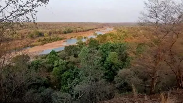 INDIA AFRICA CHEETAH