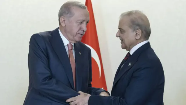 अर्दोआन और पाकिस्तान के पीएम शहबाज़ शरीफ़