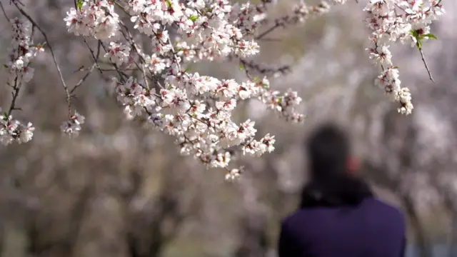 குழந்தை பருவத்தில் பாலியல் வல்லுறவுக்கு உள்ளான காஷ்மீர் இளைஞர்