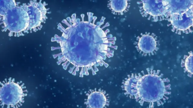virus