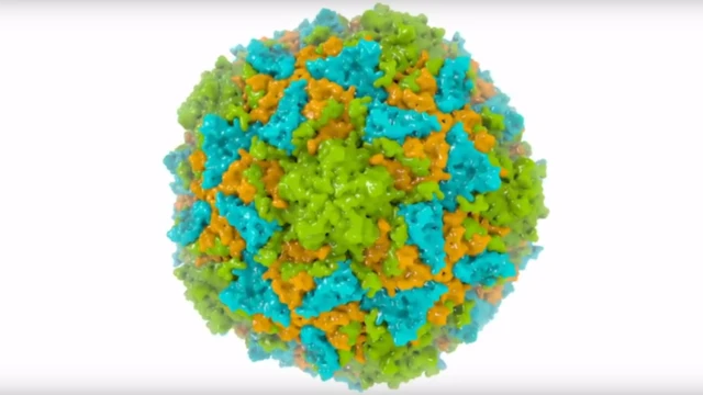 Imagen en #D del virus falso creado.