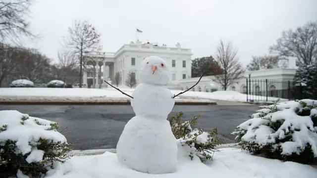 На лужайке перед Белым домом