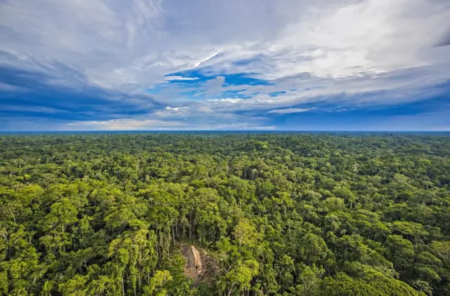 Região onde índios foram localizados