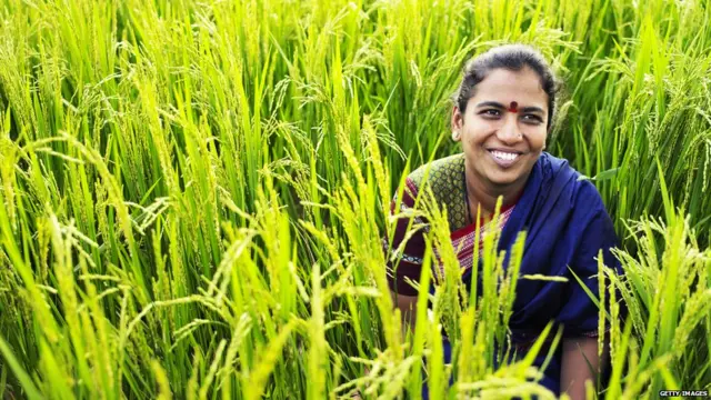 प्रातिनिधिक फोटो