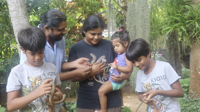 නව සත්ව විශේෂ 26ක් ලොවට හඳුන්වා දුන් ශ්‍රී ලංකාවේ 'ඩාර්වින් පවුල'