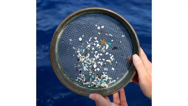 eXXpedition, kapal, perempuan, plastik, kirana agustina