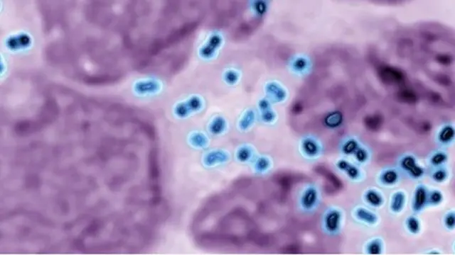 Onam bilan jinsiy aloqa oyin