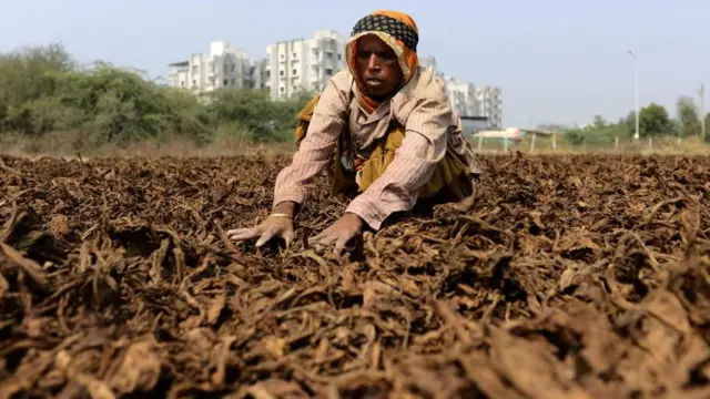 પ્રતીકાત્મક તસવીર