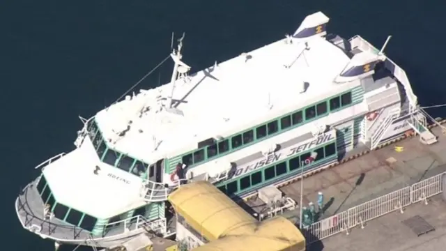 তিমির সাথে সংঘর্ষে জাহাজটির হাইড্রোফয়েল উইং এর একটি ক্ষতিগ্রস্ত হয়েছে