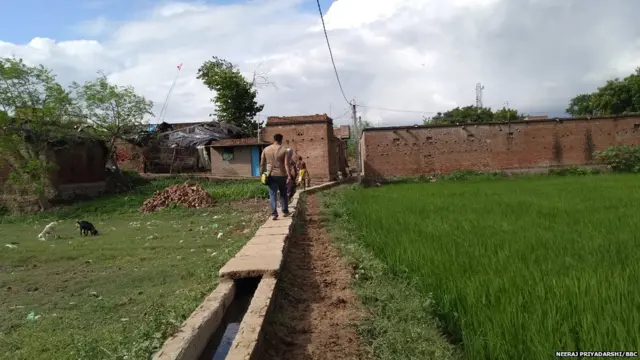 महादलित टोला