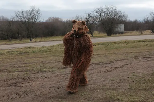Medved predstavlja neizostavnu figuru survakarske povorke. Njega, koji “napada” domaćine kako bi im doneo sreću na lancu dovodi mečkar koju zauzvrat dobija darove i novac. Maska medveda, koja ima dugu tradiciju na prostoru Balkana prema nekim mišljenjima vuče korene iz starobalkanskih i antičkih kultova.