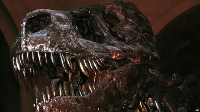 अनुकूलन शक्य न झाल्याने डायनासोर नामशेष झाले.