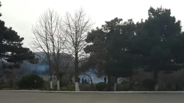 yandırılan ağaclar