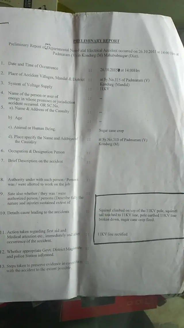 ఉడత రైతు విద్యుత్