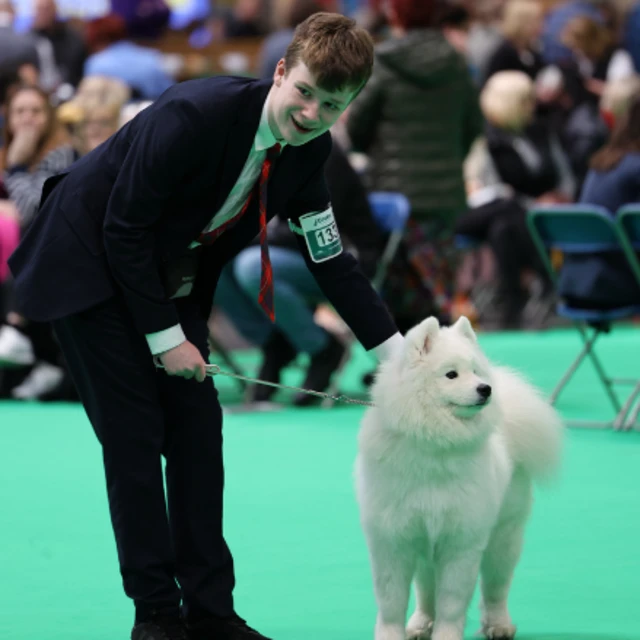 Smiling Samoyed beats cancer to scoop Crufts prize