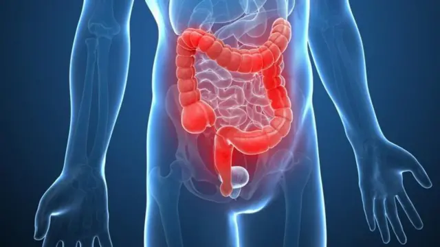 Imagen del cuerpo humano 