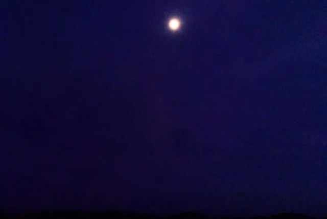 ማርፋ ላይትስ፡ ቴክሳስ