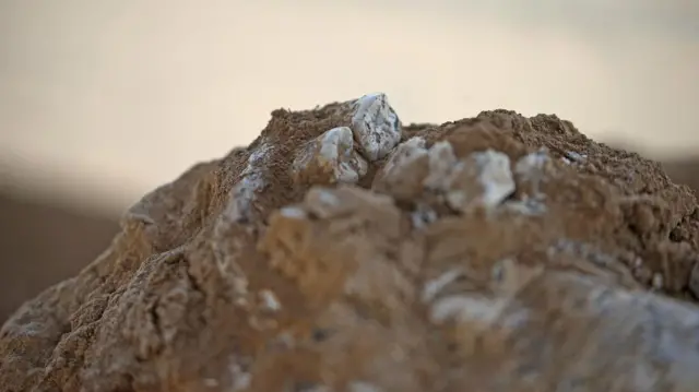 બીબીસી ગુજરાતી, ગુજરાત, અમદાવાદ, ઇતિહાસ, માનવ ઇતિહાસ, 