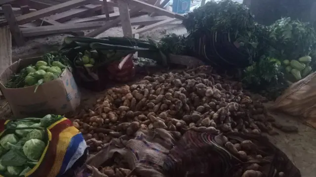 papua, konflik, papua