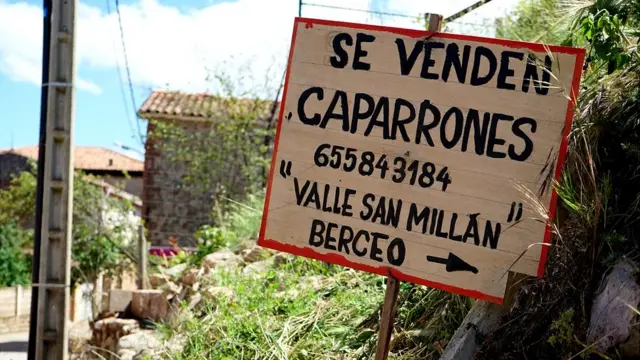 Caparrones