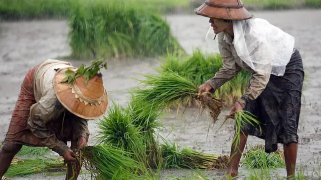 လယ်သမားတွေရဲ့မြေသိမ်းခံရမှု၊ မြေယာပိုင်ဆိုင်မှုပြဿနာအများအပြားရှိနေ