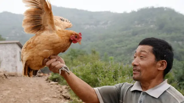 सिंगापुर